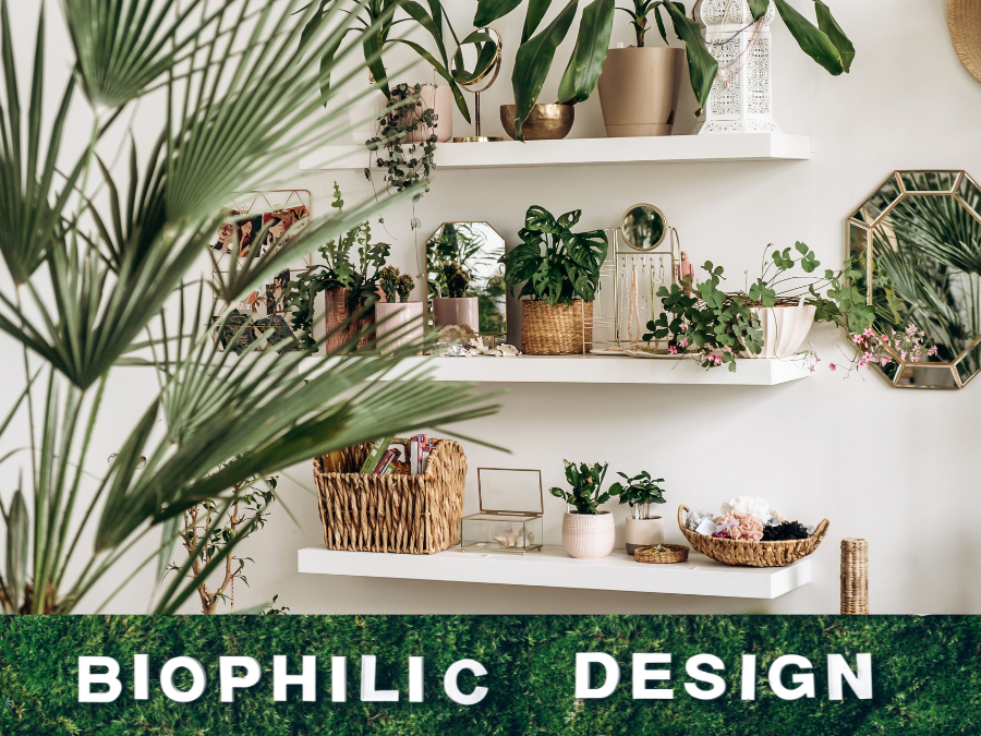 White shelves holding a medley of plants. 