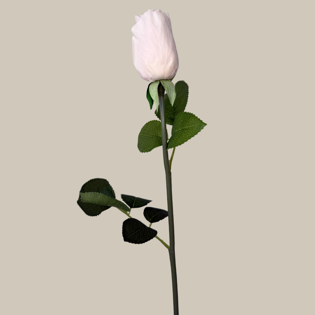 Tru Touch Closed Modern Rose