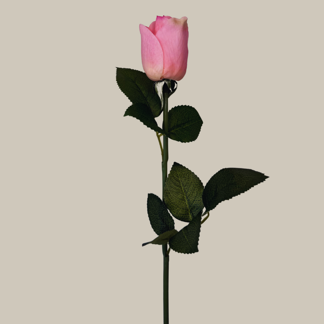 Tru Touch Closed Modern Rose