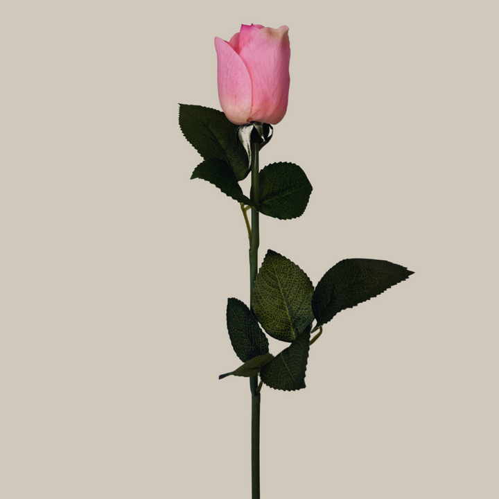 Tru Touch Closed Modern Rose