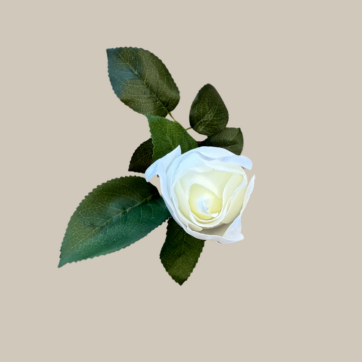 Tru Touch Closed Modern Rose