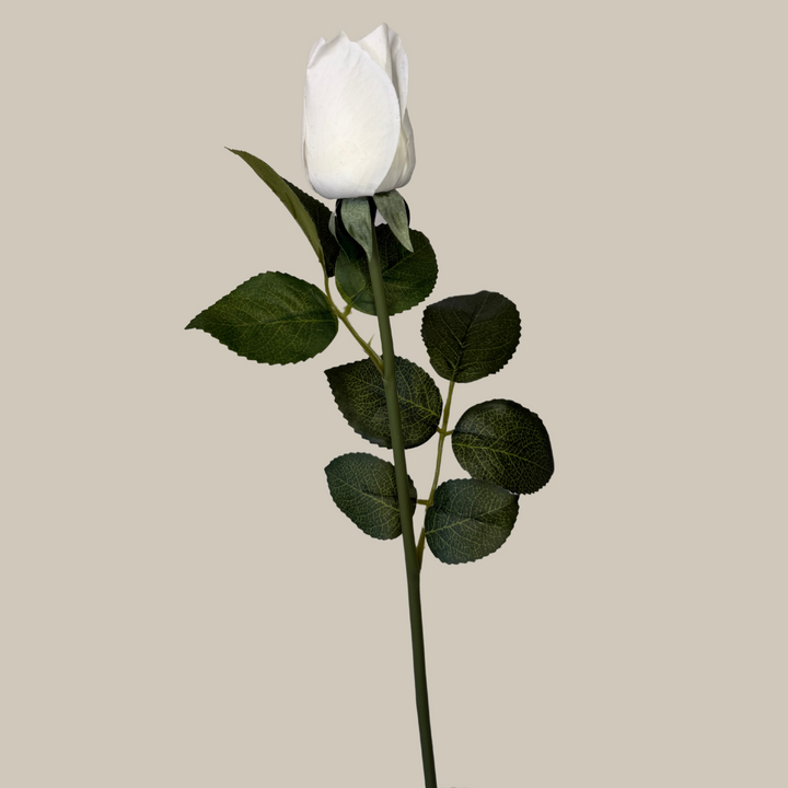 Tru Touch Closed Modern Rose