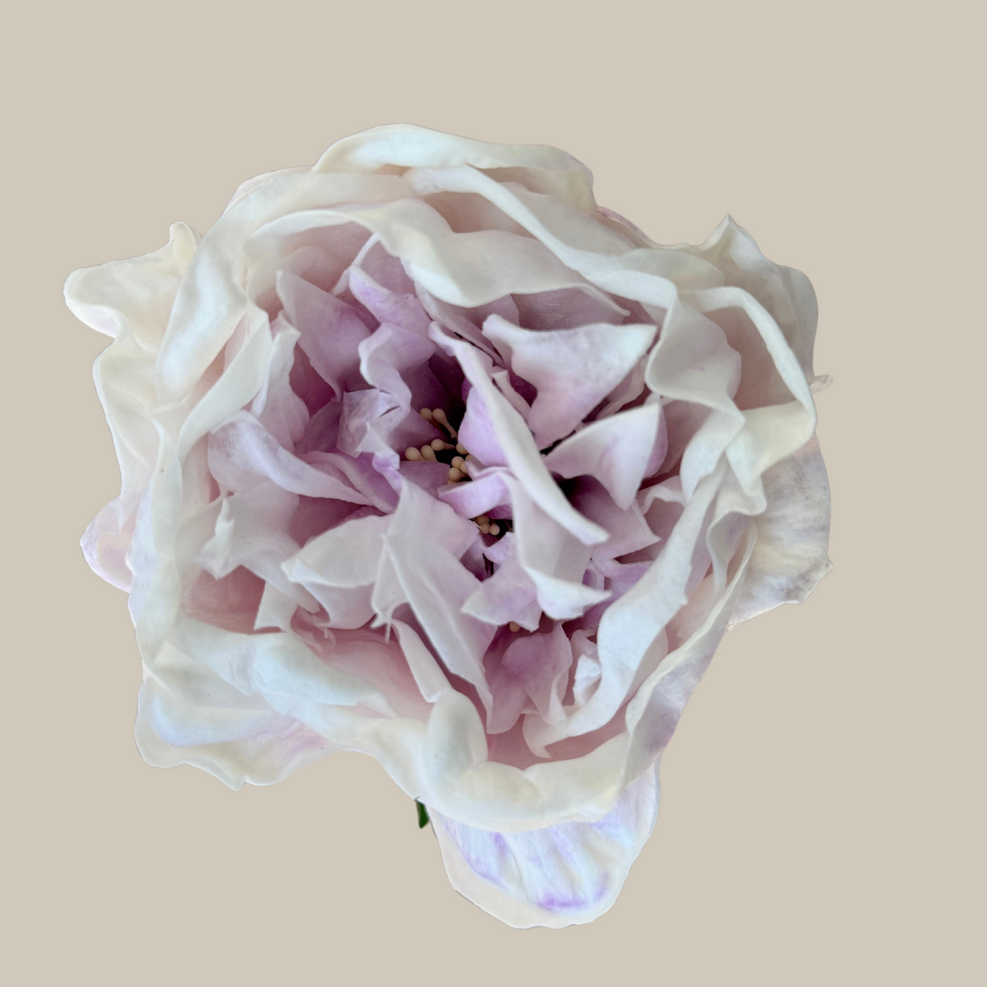 Tru Touch Single XL Peony – 30"