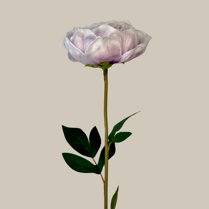 Tru Touch Single XL Peony – 30"