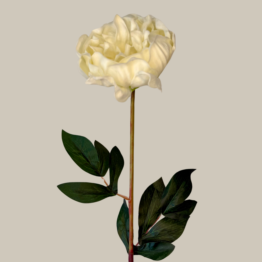 Tru Touch Single XL Peony – 30"