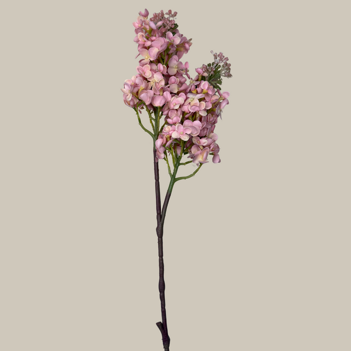 Tru Touch Dual Head Lilac – 25"