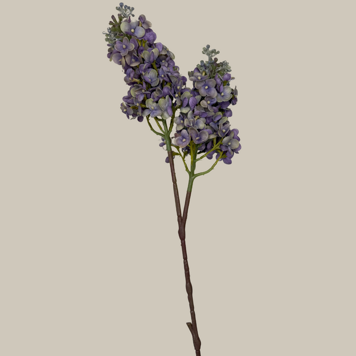 Tru Touch Dual Head Lilac – 25"