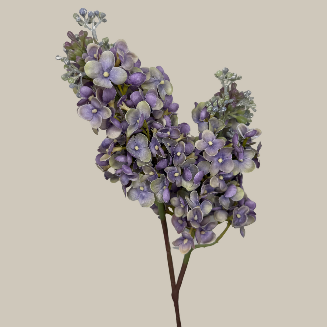 Tru Touch Dual Head Lilac – 25"