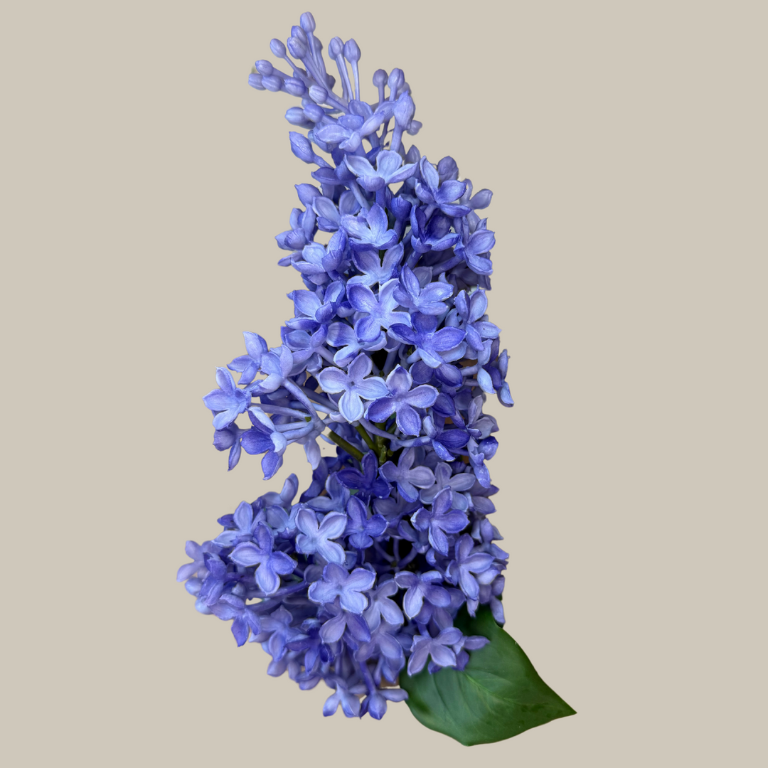 Tru Touch Dual Head Lilac, Extra Dense – 26"