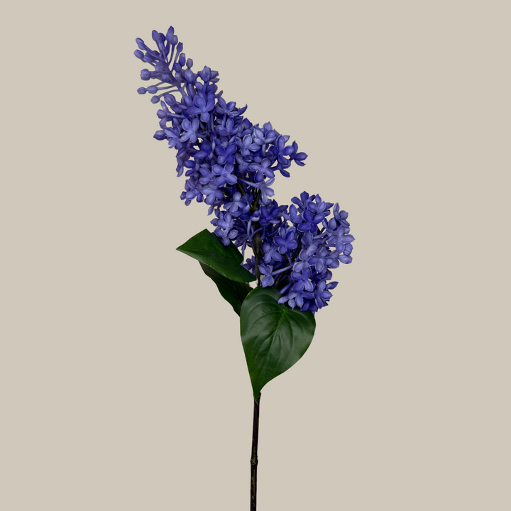 Tru Touch Dual Head Lilac, Extra Dense – 26"