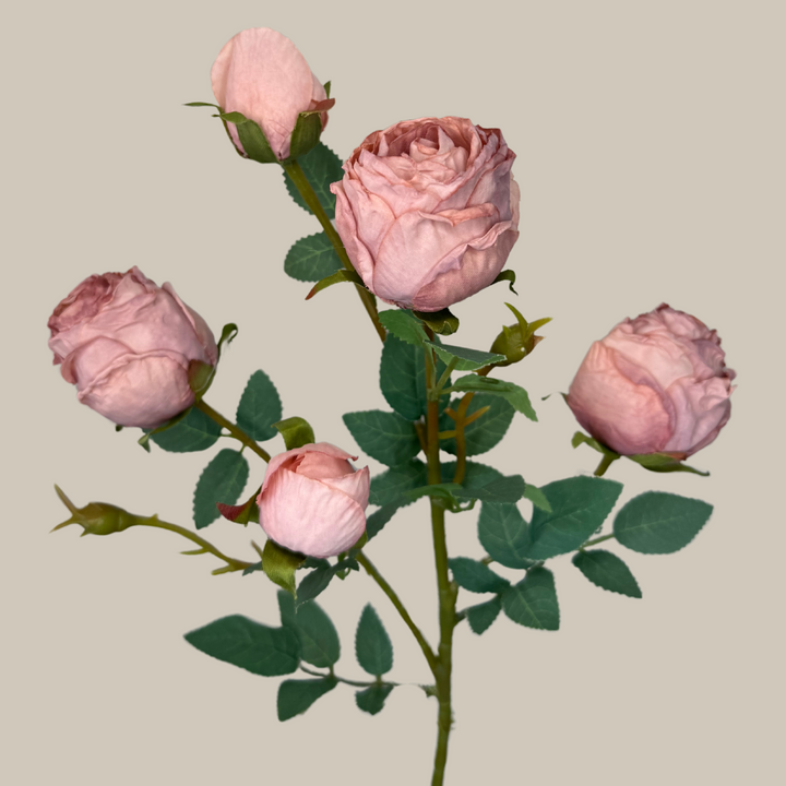 Silk 5 Head Semi Dried Rose – 30"