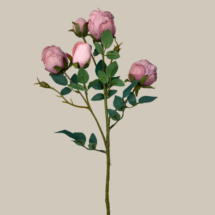 Silk 5 Head Semi Dried Rose – 30"