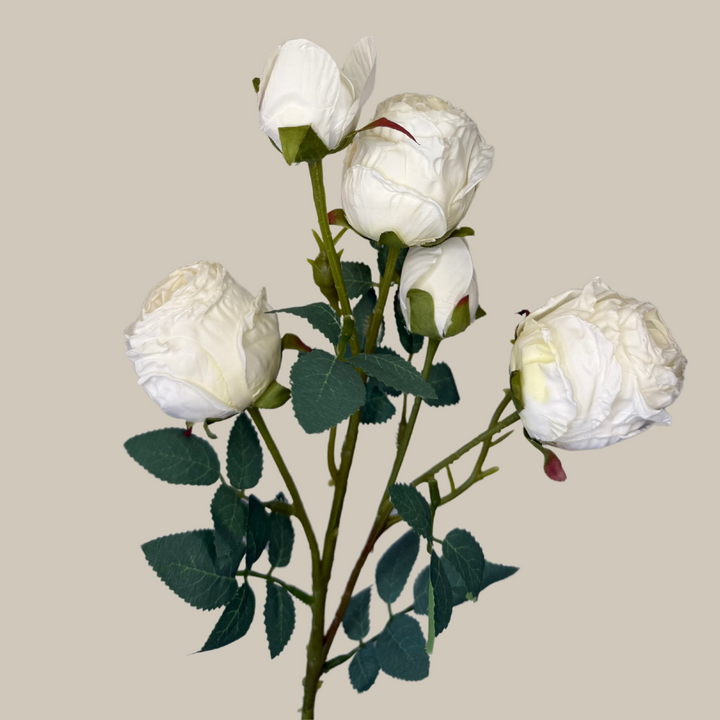 Silk 5 Head Semi Dried Rose – 30"