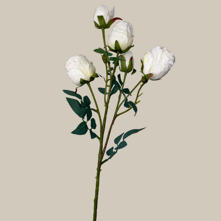 Silk 5 Head Semi Dried Rose – 30"