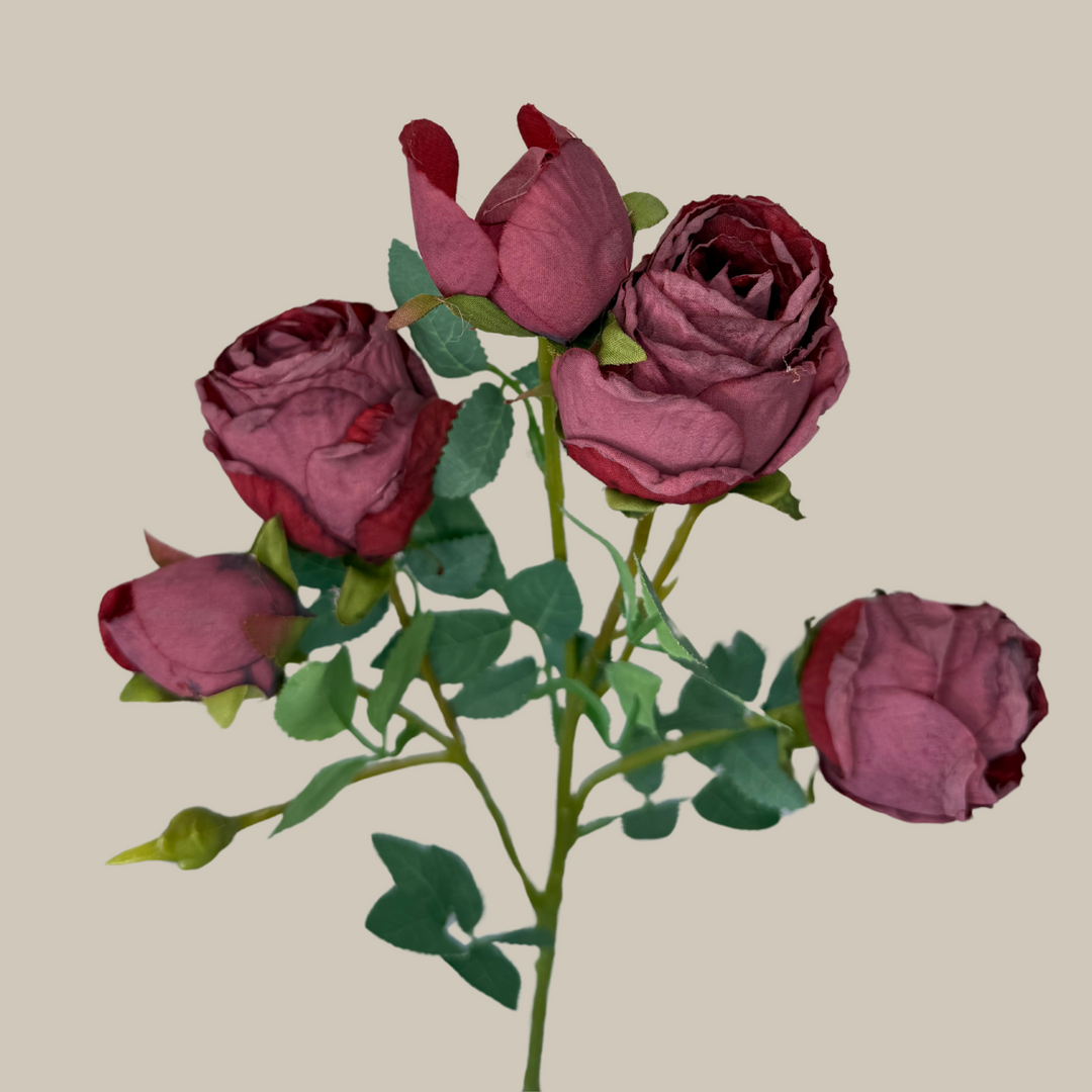 Silk 5 Head Semi Dried Rose – 30"