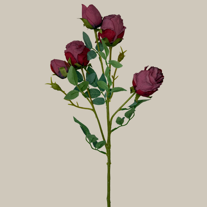 Silk 5 Head Semi Dried Rose – 30"