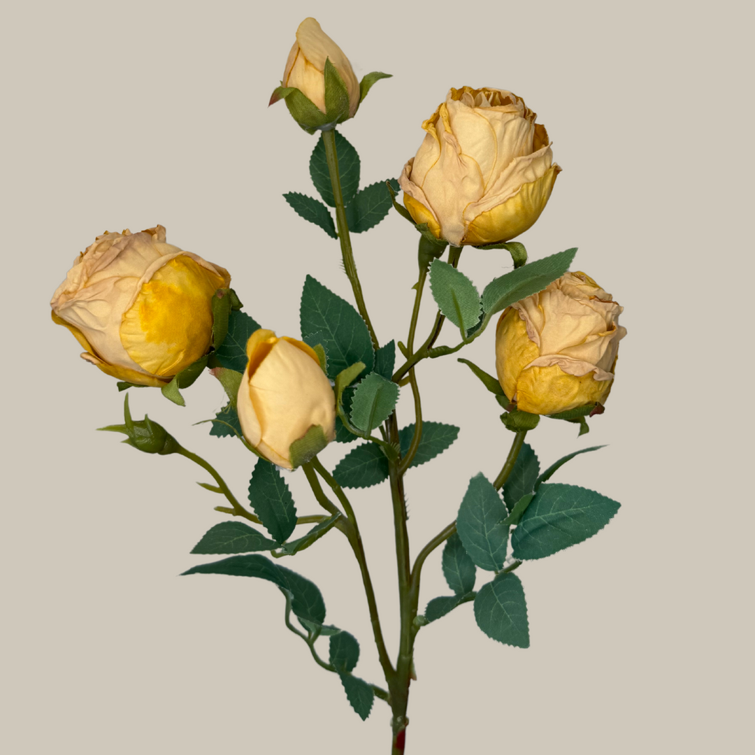 Silk 5 Head Semi Dried Rose – 30"