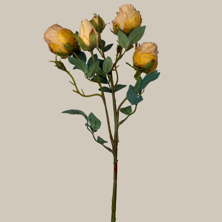 Silk 5 Head Semi Dried Rose – 30"