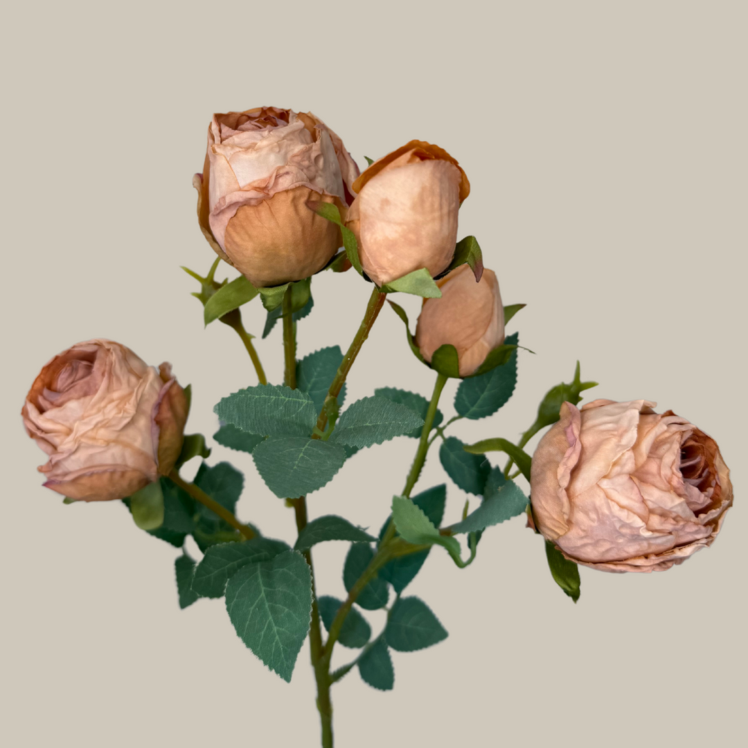 Silk 5 Head Semi Dried Rose – 30"