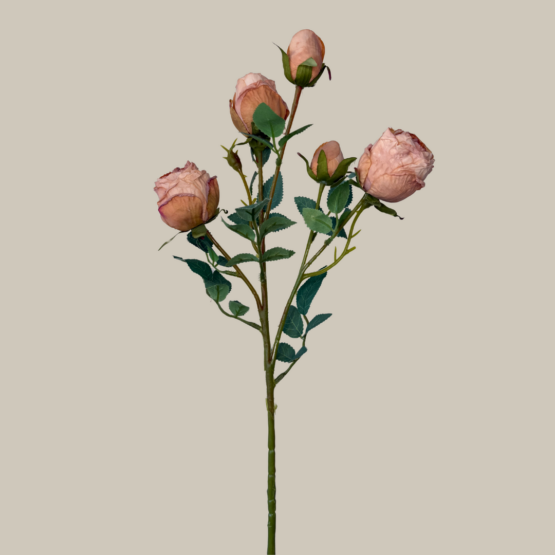 Silk 5 Head Semi Dried Rose – 30"