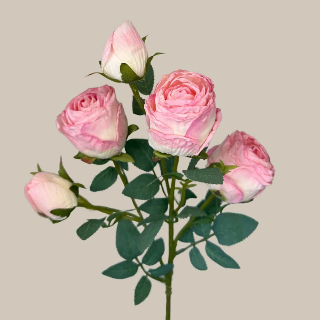 Silk 5 Head Semi Dried Rose – 30"