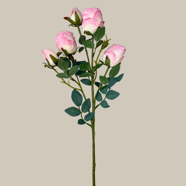 Silk 5 Head Semi Dried Rose – 30"