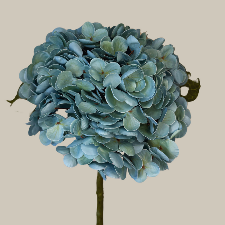 Tru Touch Single Mophead Hydrangea, Large – 15"