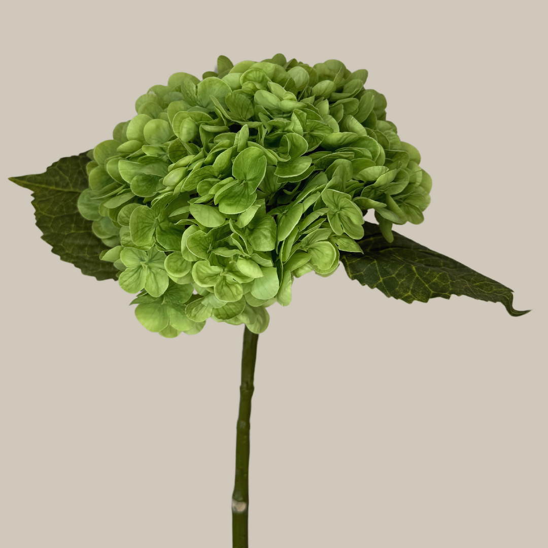 Tru Touch Single Mophead Hydrangea, Large – 15"