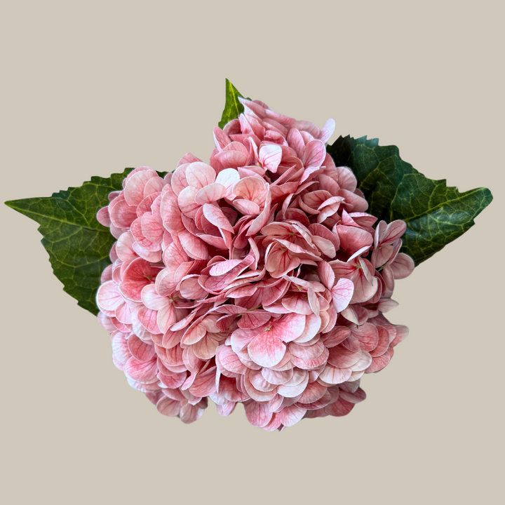 Tru Touch Single Mophead Hydrangea, Large – 15"