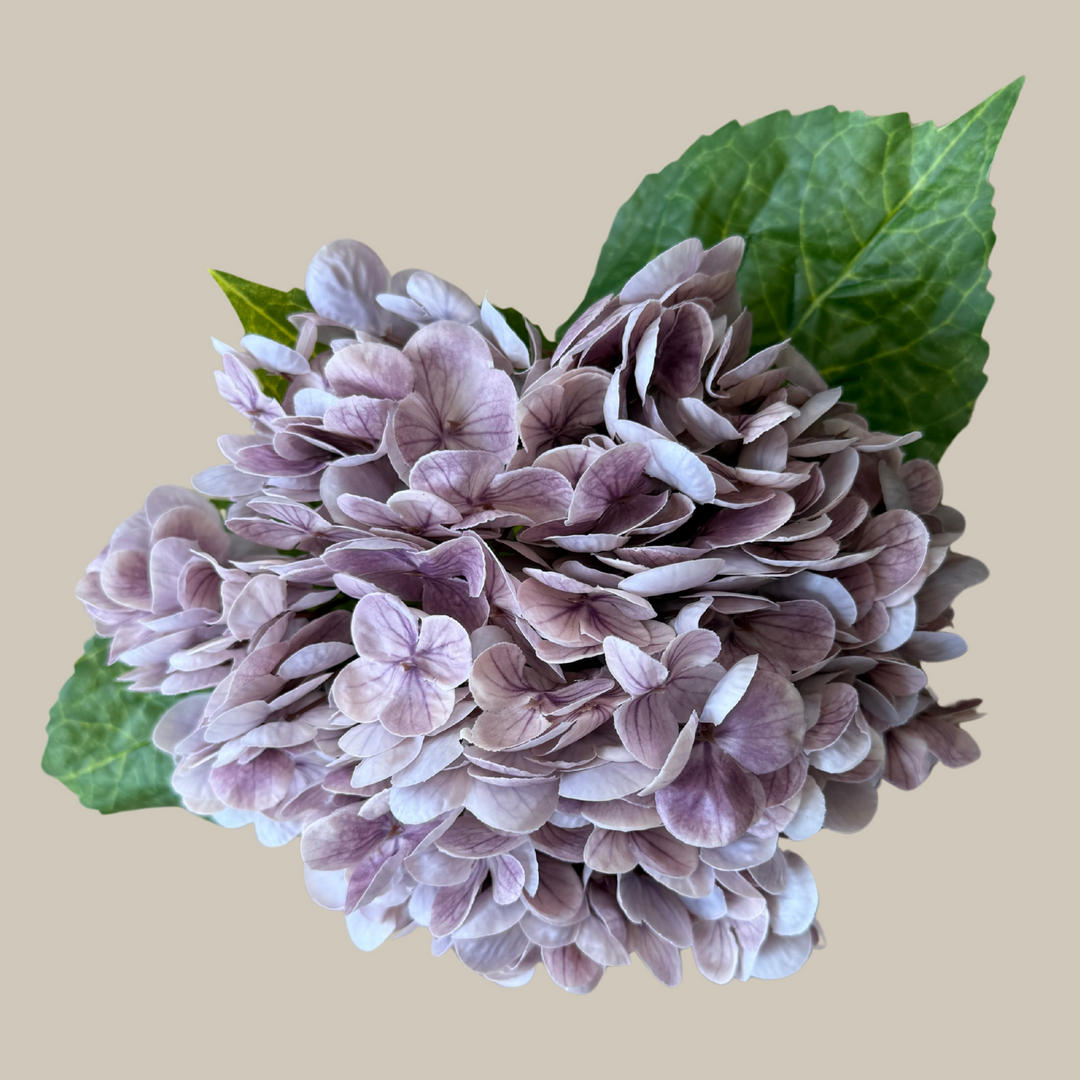 Tru Touch Single Mophead Hydrangea, Large – 15"