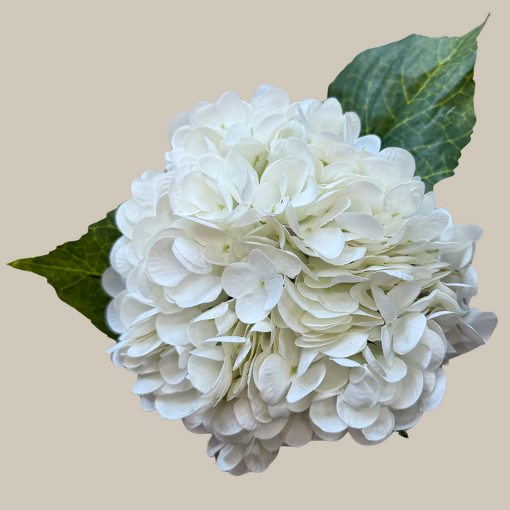 Tru Touch Single Mophead Hydrangea, Large – 15"