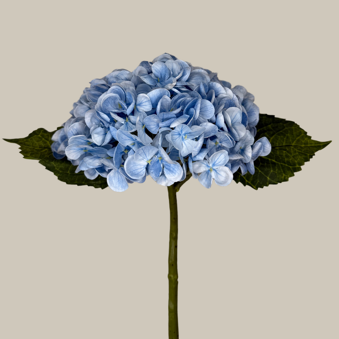 Tru Touch Single Mophead Hydrangea, Large – 15"