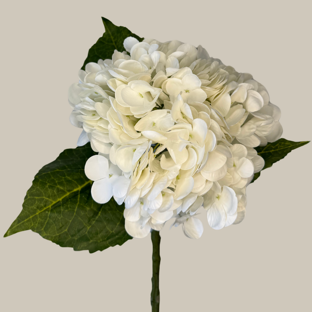 Tru Touch Single Mophead Hydrangea, Large – 15"
