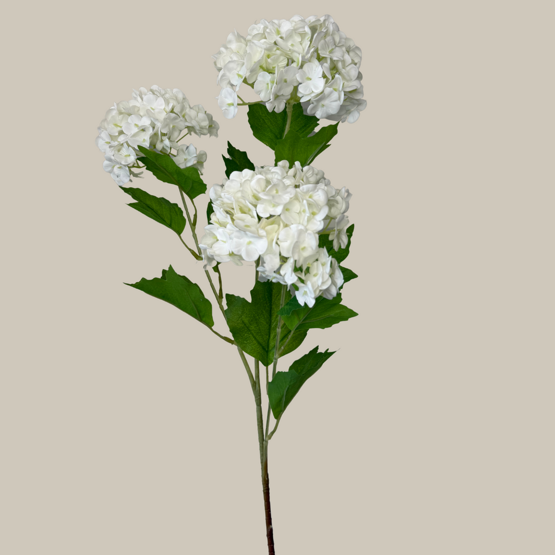 Tru Touch Triple Mophead Hydrangea, Small