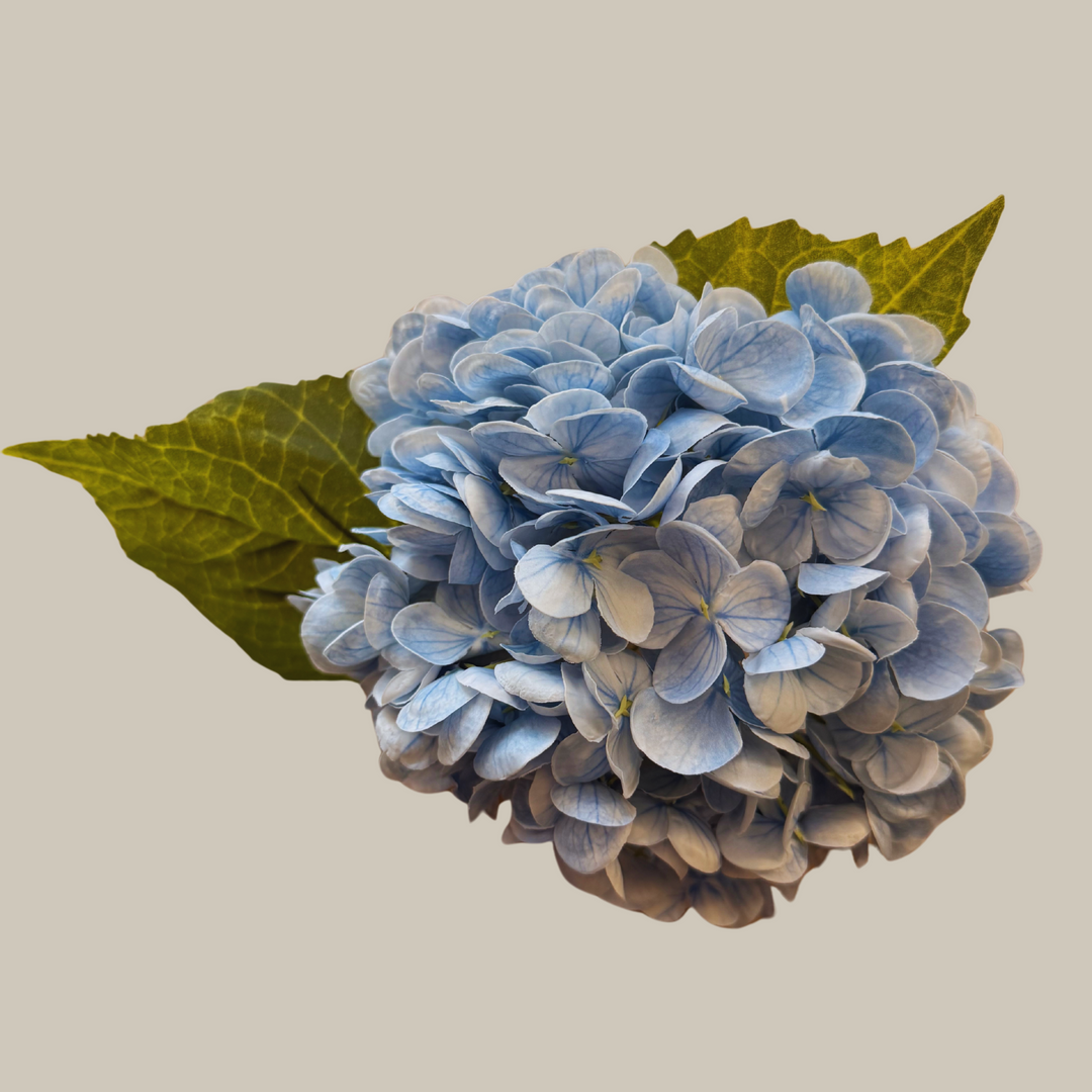 Tru Touch Single Mophead Hydrangea, Large – 15"