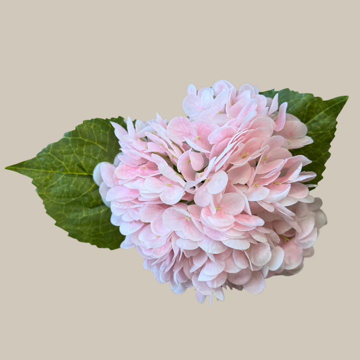 Tru Touch Single Mophead Hydrangea, Large – 15"