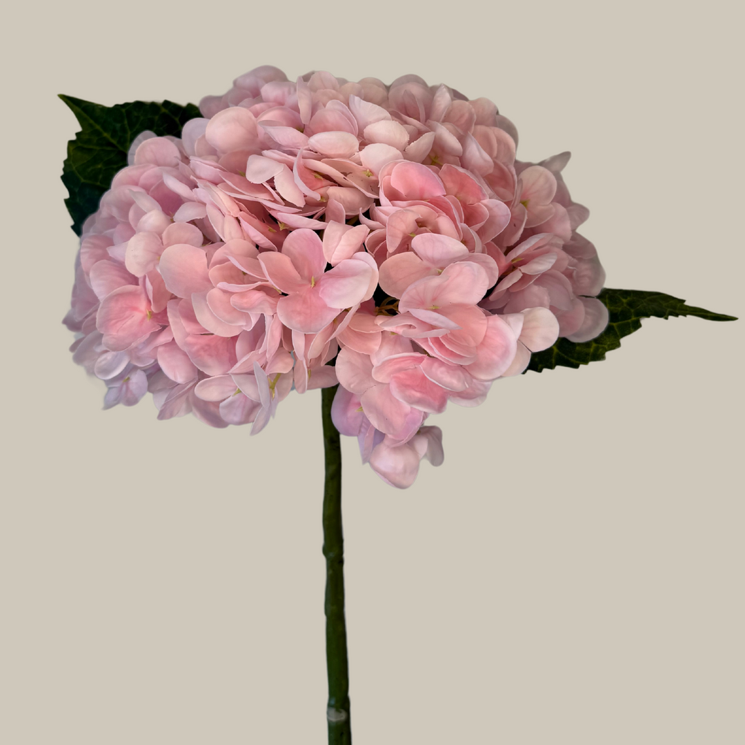 Tru Touch Single Mophead Hydrangea, Large – 15"