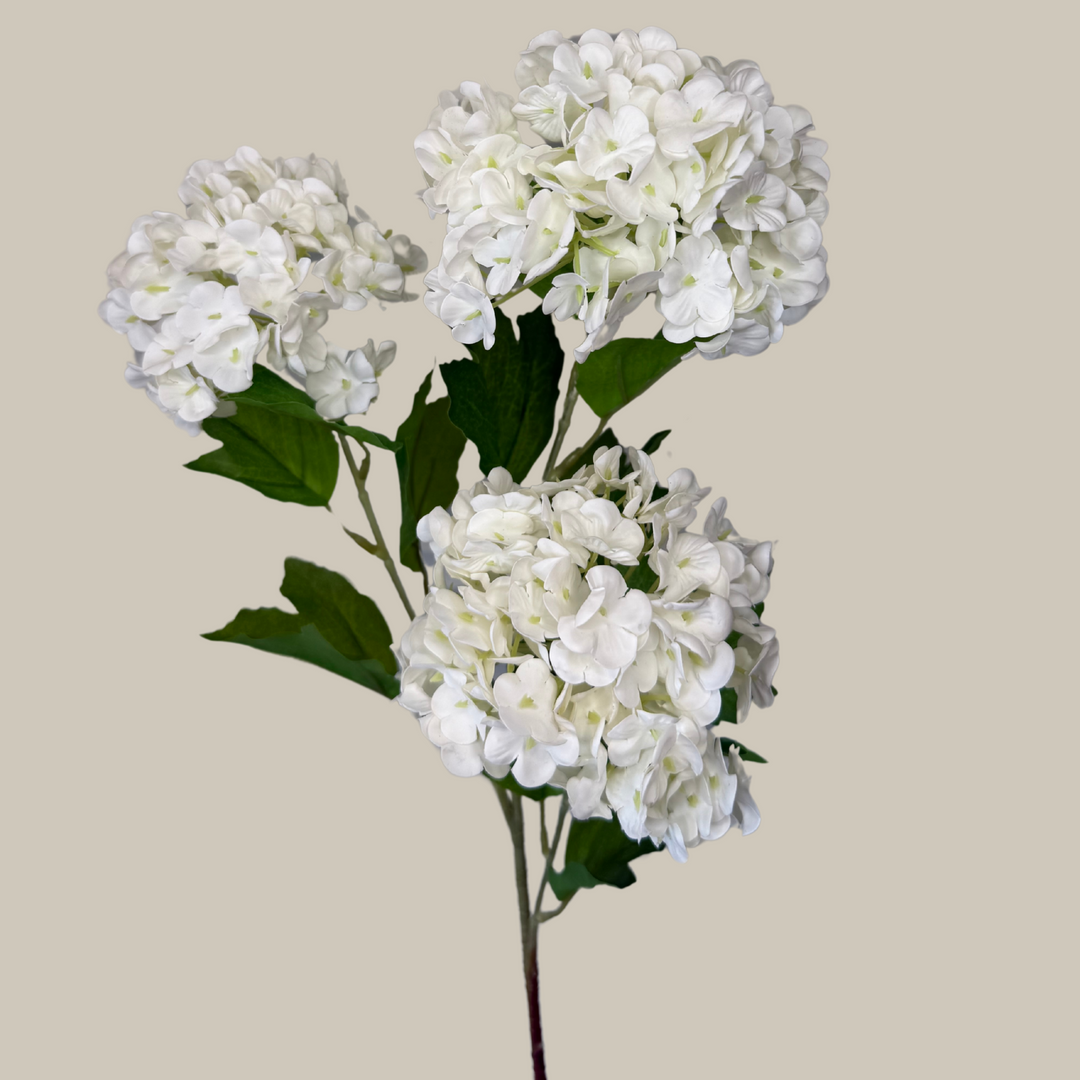 Tru Touch Triple Mophead Hydrangea, Small